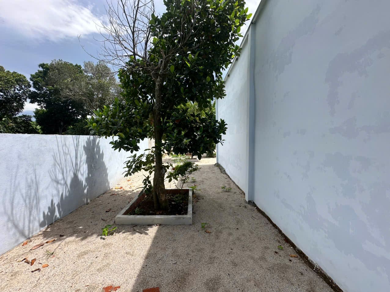Bán Nhà Vườn Tam Long TP.HCM 500m² Giá Chỉ 2,95 Tỷ