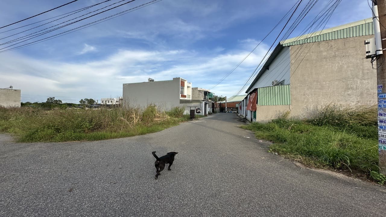 Bán đất giá rẻ Long Điền trung tâm thị trấn gần vòng xoay cao tốc