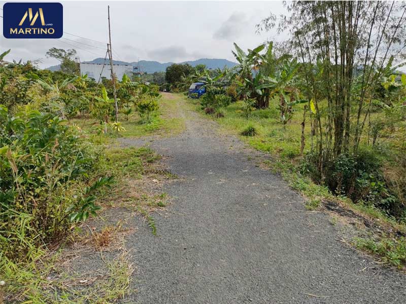 Bán đất thổ cư Lộc Châu tại hẻm Đinh Công Tráng 