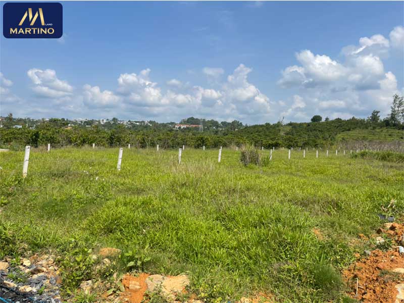 Bán đất mặt tiền đường nhựa ô tô quay đầu tại xã Lộc Châu