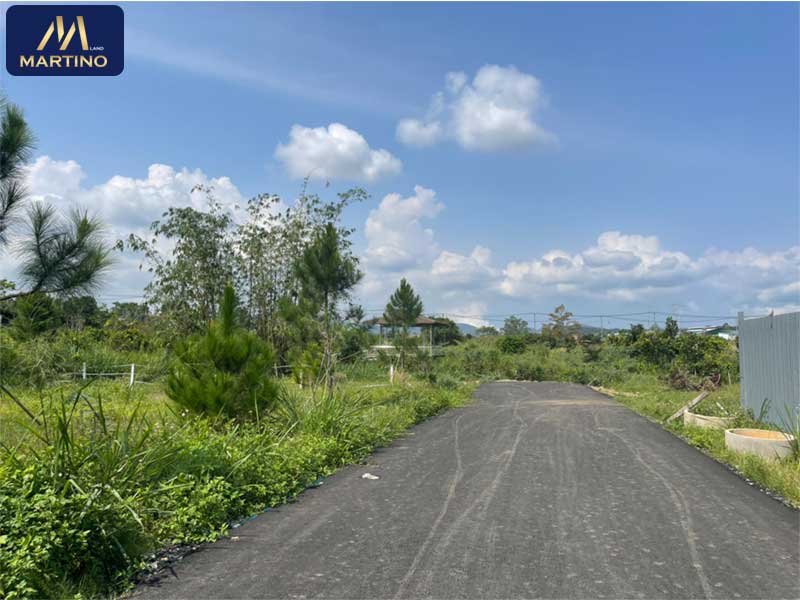 Bán đất mặt tiền đường nhựa ô tô quay đầu tại xã Lộc Châu