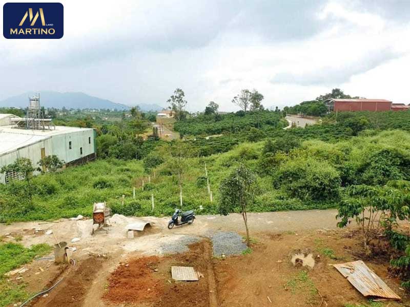 Bán đất nền phường Lộc Tiến tại hẻm 408 Phan Đình Phùng