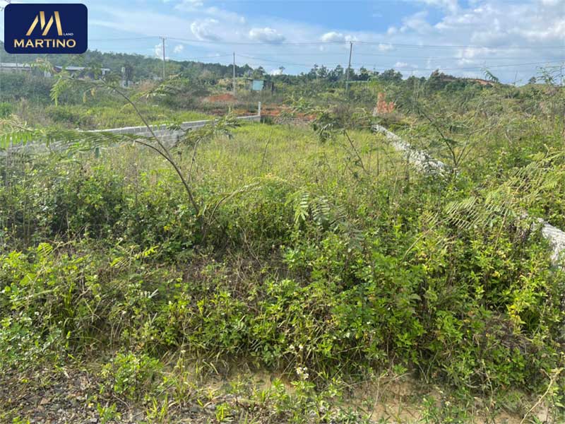 Bán đất nền tại Lộc Châu - Bảo Lộc diện tích 6x20m