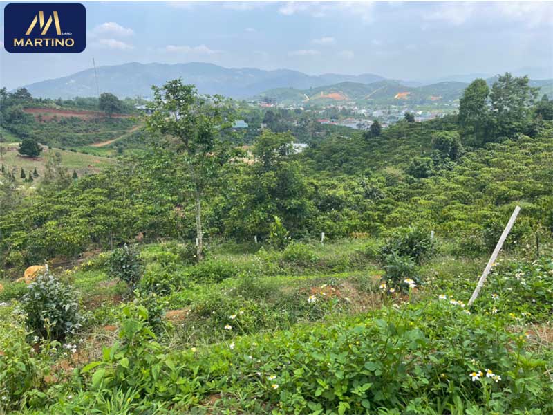 Bán đất sào nghỉ dưỡng tại Lộc Châu - Bảo Lộc giá rẻ