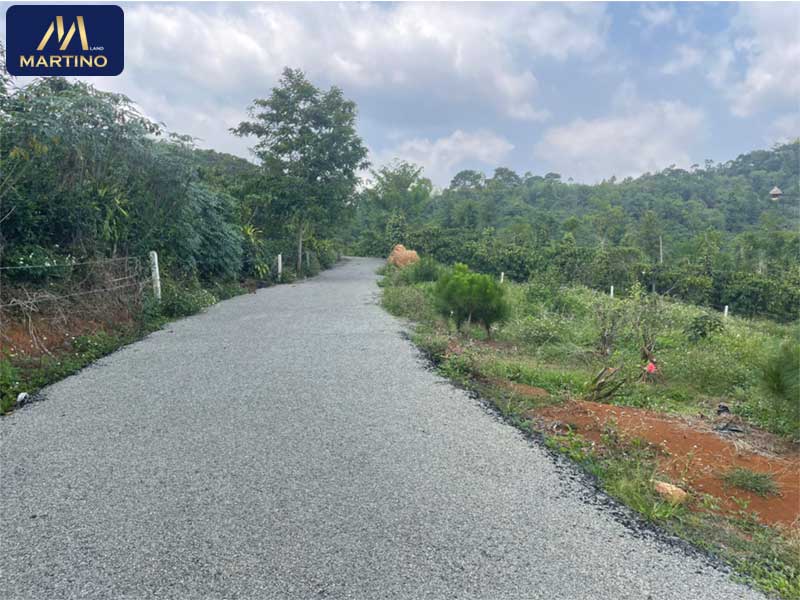 Bán đất sào nghỉ dưỡng tại Lộc Châu - Bảo Lộc giá rẻ