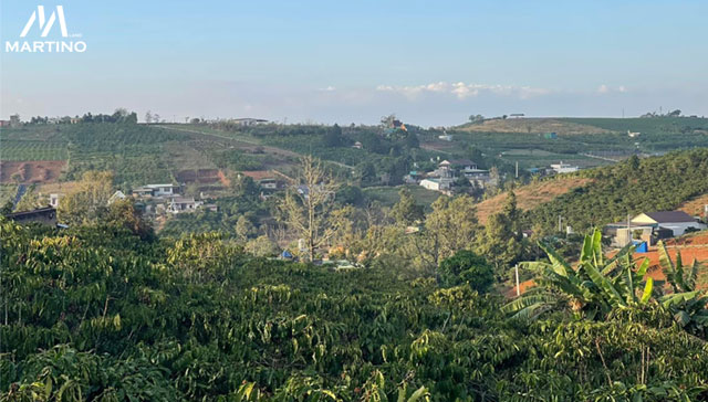 Bán lô đất sào diện tích 1,5ha, mặt tiền đường 150m