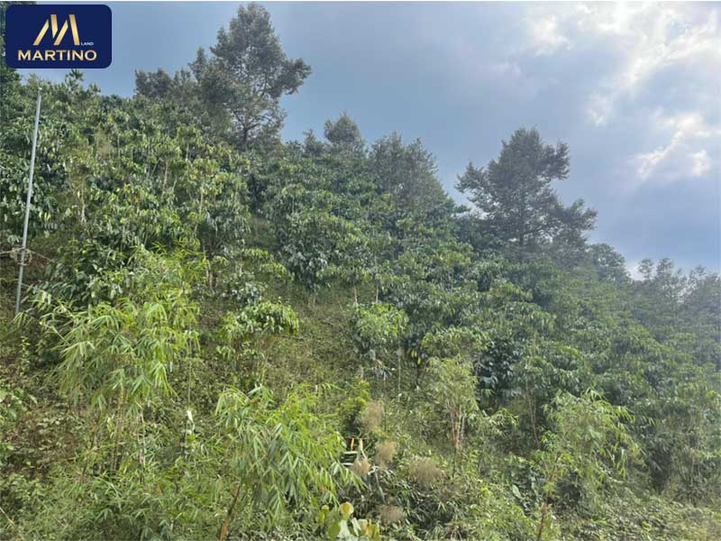 Bán đất sào mặt đường vào thác 7 tầng, Blaoxere, xã Đại Lào