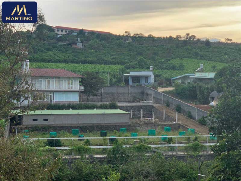 Bán lô đất sào xây nhà vườn ao cá tại Dambri - Bảo Lộc