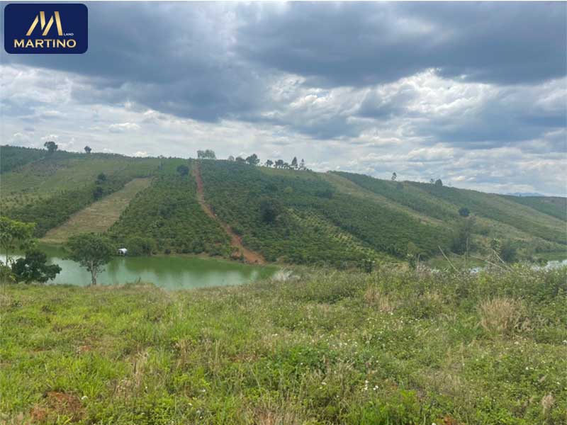 Bán đất sào nghỉ dưỡng view hồ tự nhiên tại Lộc Tân