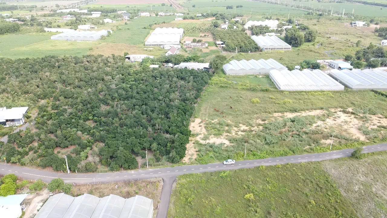 Bán đất mặt tiền đường nhựa Đoàn Trung Còn Đất Đỏ 10x50m giá 1 tỷ 750 triệu