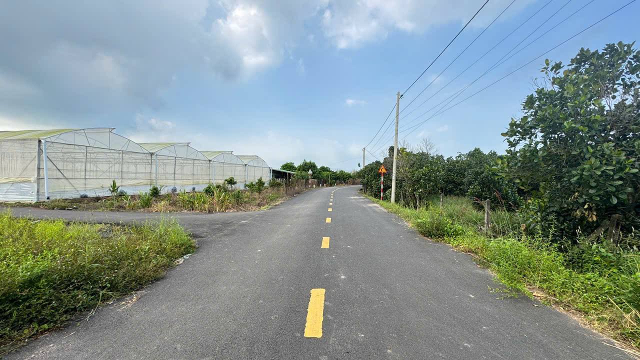 Bán đất mặt tiền đường nhựa Đoàn Trung Còn Đất Đỏ 10x50m giá 1 tỷ 750 triệu