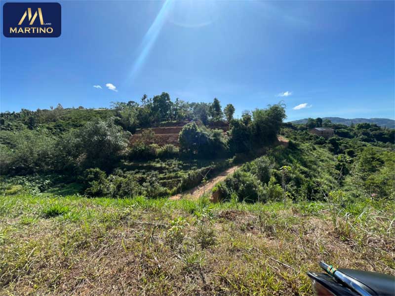 Bán đất vườn sào cafe tại Lộc Châu - Bảo Lộc giá rẻ