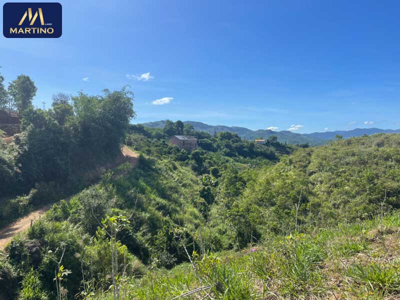 Bán đất vườn sào cafe tại Lộc Châu - Bảo Lộc giá rẻ