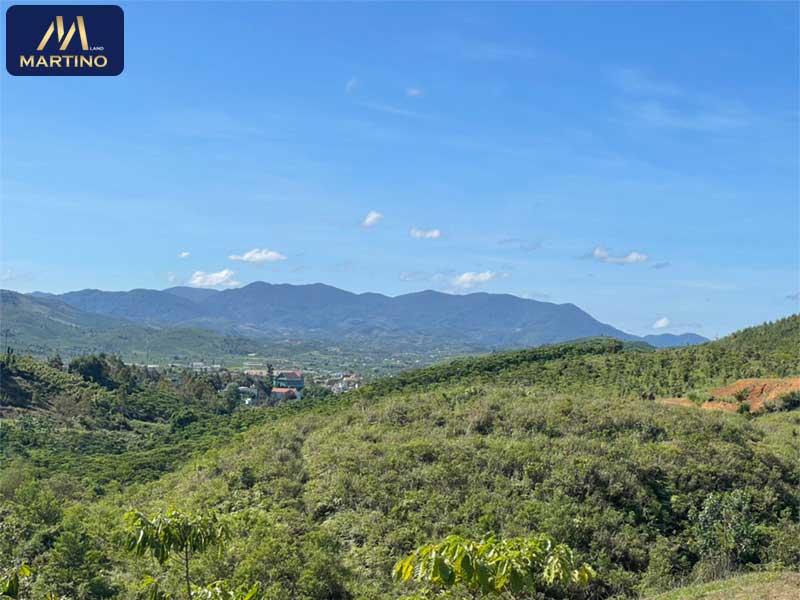 Bán đất vườn sào cafe tại Lộc Châu - Bảo Lộc giá rẻ