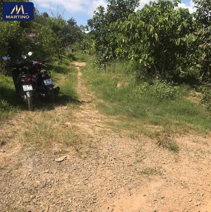 Bán đất vườn sào 3 mặt tiền tại Tân Lạc tp Bảo Lộc