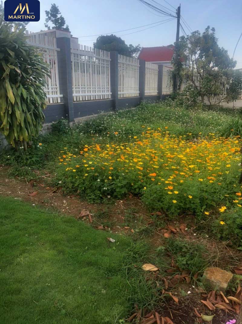 Bán nhà đất biệt thự 3 sào tại hẻm Nguyễn Viết Xuân