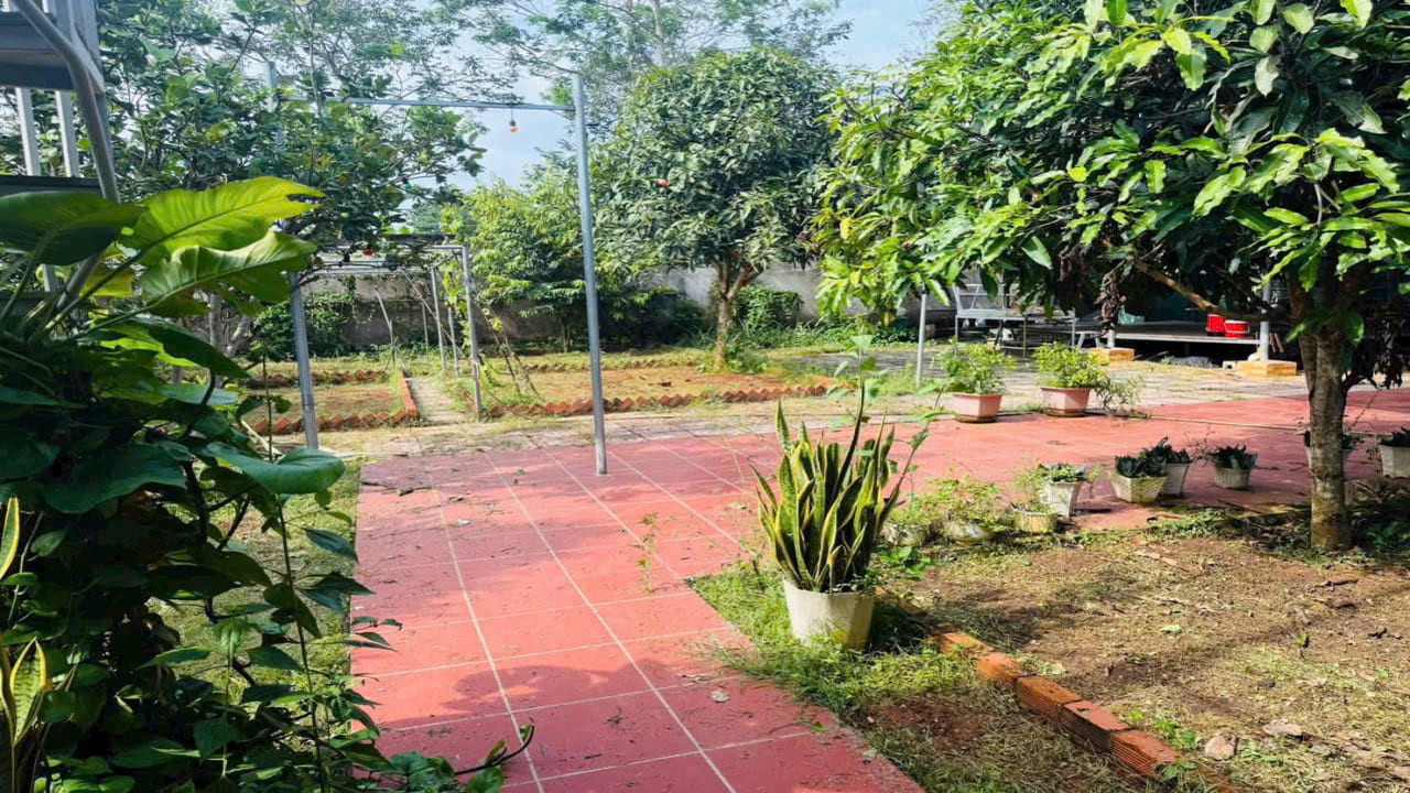 Bán nhà vườn Long Phước Bà Rịa Vũng Tàu diện tích lớn 20x50m