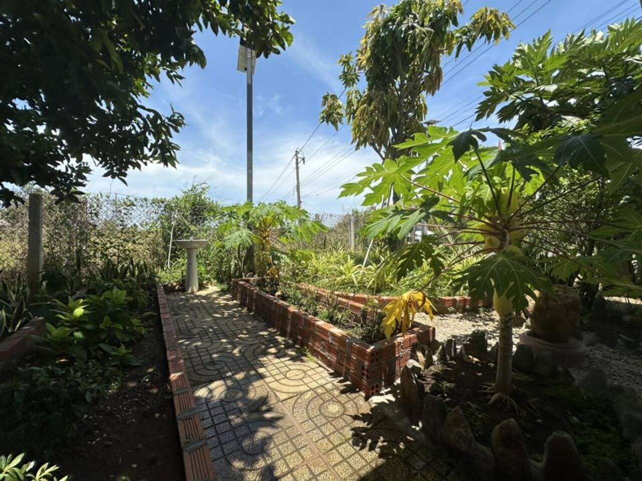 Bán nhà vườn Long Tân Đất Đỏ 600m2 thổ cư giá 3 tỷ