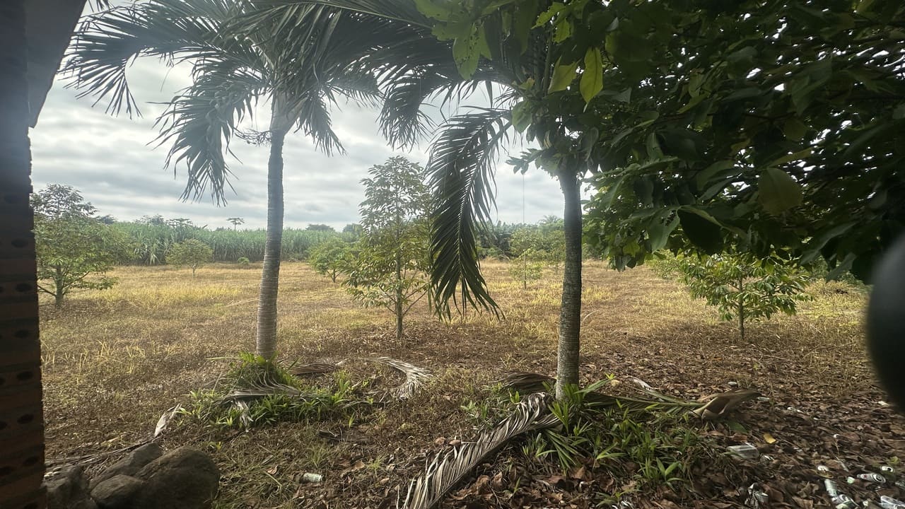 Bán nhà vườn Long Tân Đất Đỏ mặt tiền đường nhựa giá 6 tỷ 550 triệu