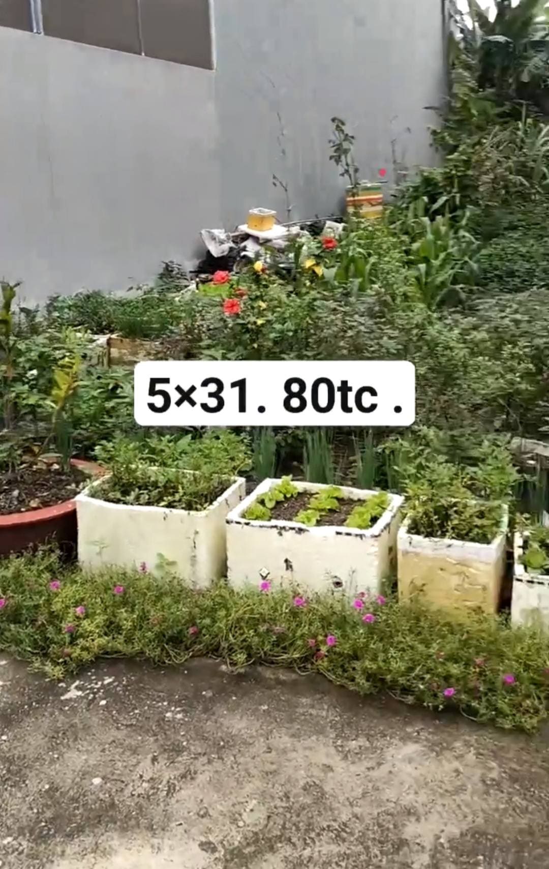 Bán đất mặt tiền An Ngãi Long Điền giá rẻ chỉ 1.28 tỷ – sổ sẵn thổ cư 80m²