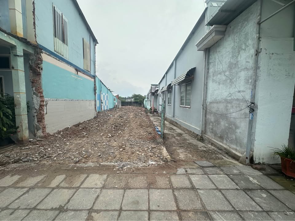 Bán đất mặt tiền Bùi Công Minh Long Điền 305m²