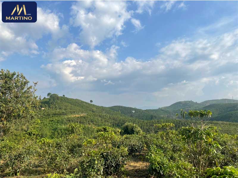 Bán đất sào xã Lộc Châu gần đường Phan Huy Ích