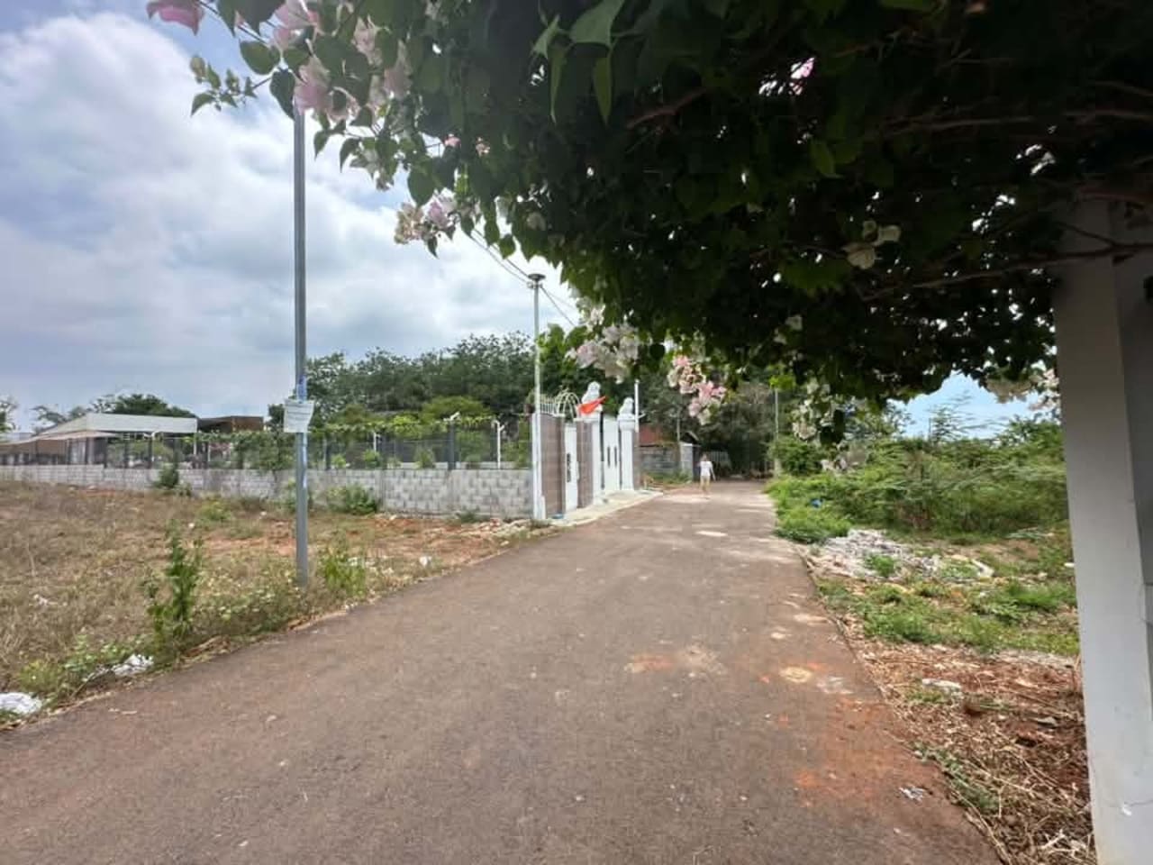 Đất vườn Bà Rịa Vũng Tàu 1000m2 Long Phước giá 3.2 tỷ cơ hội đầu tư