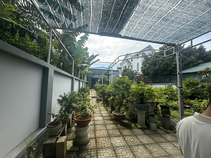 Bán Nhà Vườn Long Điền Mặt Tiền Phan Đăng Lưu Gần Chợ An Ngãi – Giá Chỉ 10 Triệu/m²