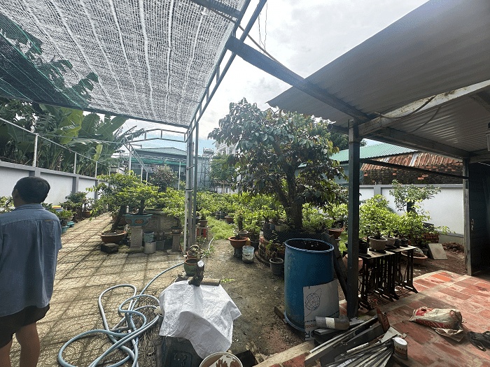 Bán Nhà Vườn Long Điền Mặt Tiền Phan Đăng Lưu Gần Chợ An Ngãi – Giá Chỉ 10 Triệu/m²