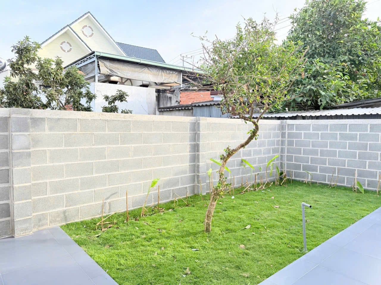 Nhà vườn Phước Hải có hồ bơi sân vườn đẹp 244m2 giá 3 tỷ 200