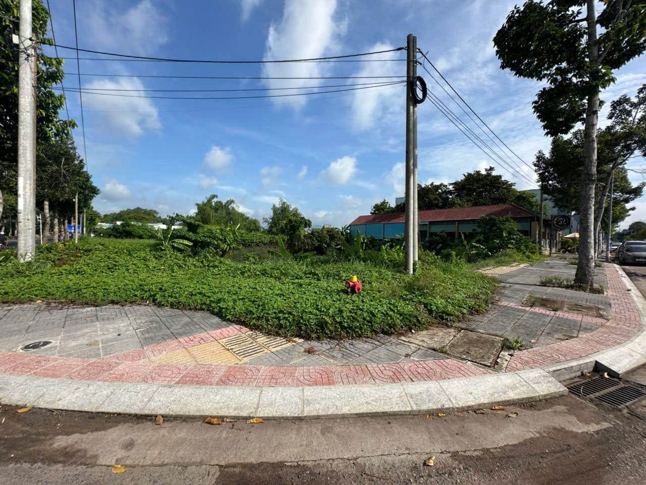 Bán lô đất góc Quốc lộ 55 trung tâm Long Điền 521m² giá 7,5 tỷ