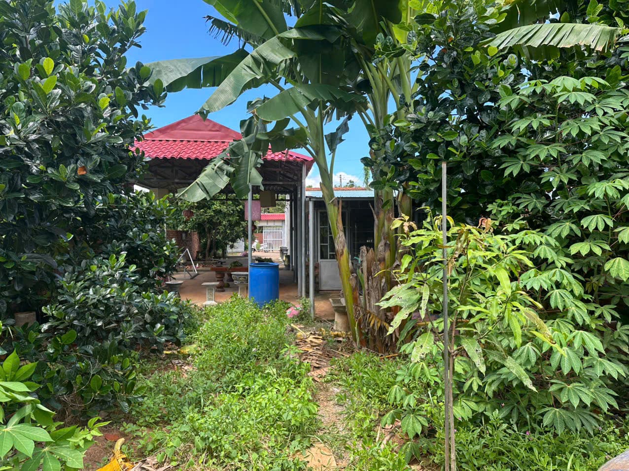 Bán nhà vườn Long Phước 1.000m² giá 3 tỷ