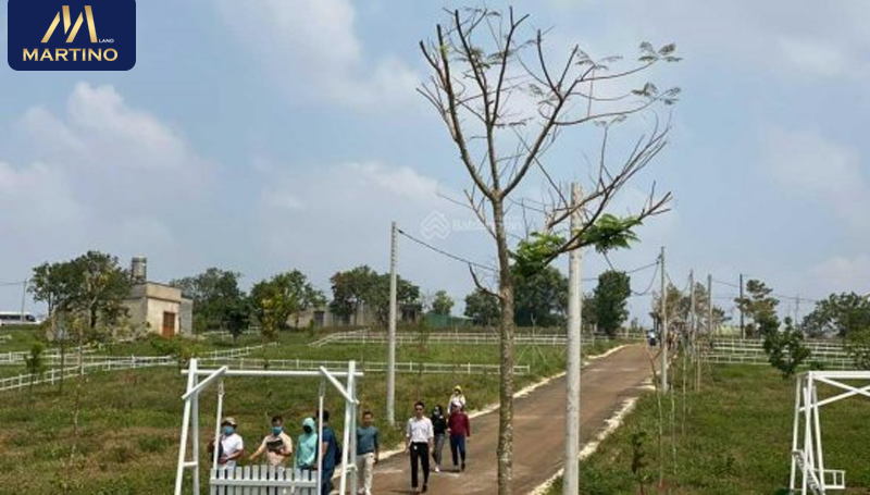 bán đất bảo lộc