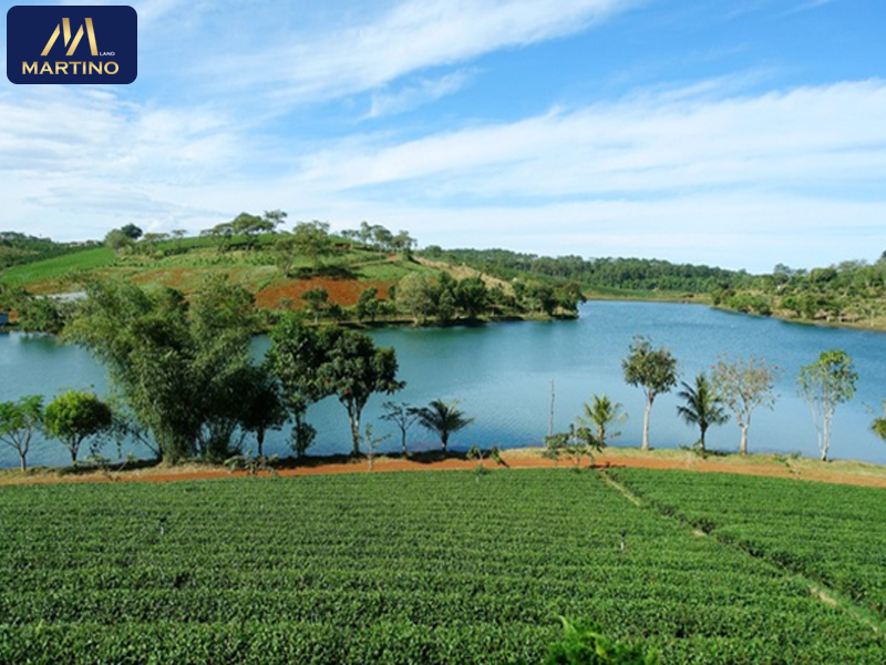 bán đất bảo lộc lâm đồng