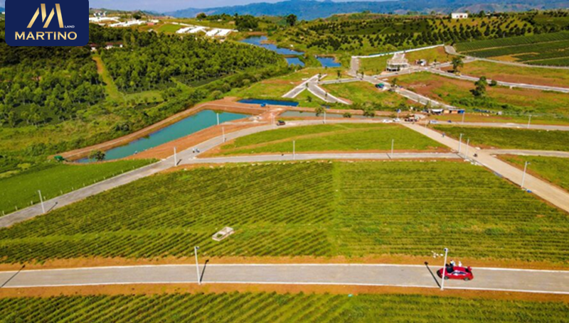 bán đất bảo lộc