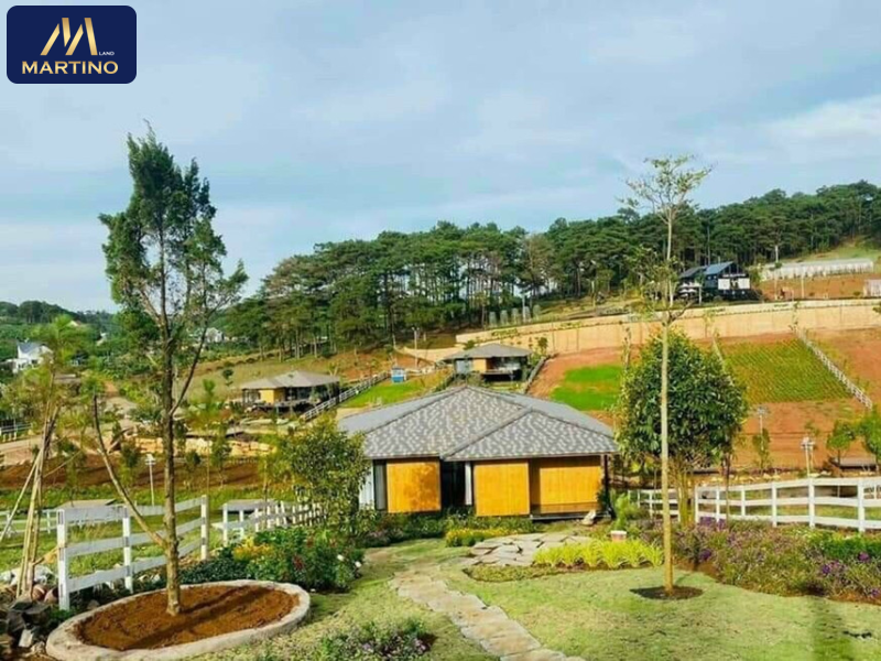 bán đất đồi chè bảo lộc