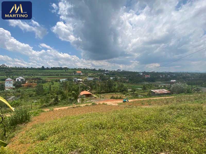 Bán đất hẻm 192 Lý Thái Tổ xã Dambri Bảo Lộc Bán đất hẻm 192 Lý Thái Tổ xã Dambri Bảo Lộc