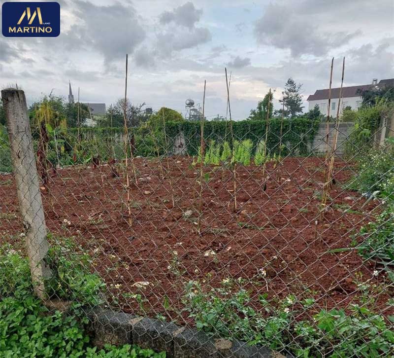 Bán đất hẻm 979 Lộc Châu Bán đất hẻm 979 Lộc Châu