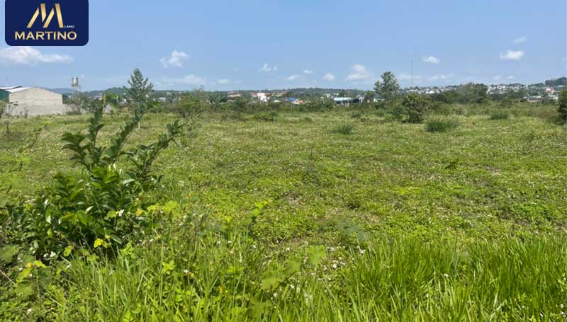 Bán đất hẻm Đinh Công Tráng - xã Lộc Châu Bán đất hẻm Đinh Công Tráng - xã Lộc Châu