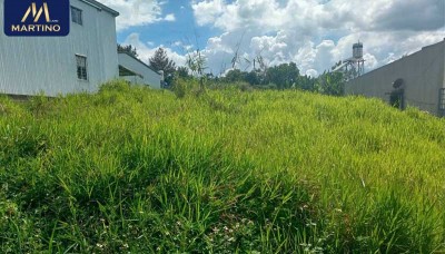 Bán đất mặt tiền Đinh Công Tráng xã Lộc Châu - Bảo Lộc Bán đất mặt tiền Đinh Công Tráng xã Lộc Châu - Bảo Lộc