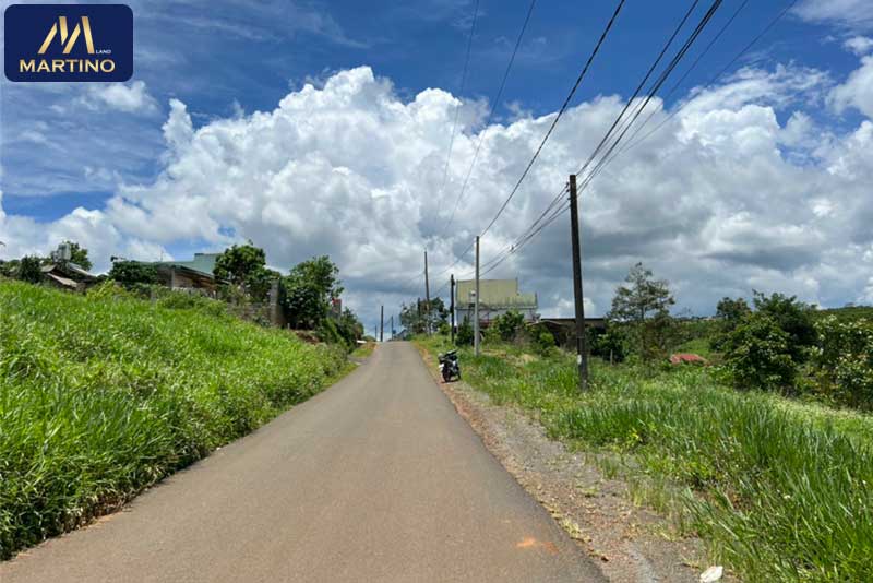 Bán đất Homestay Tôn Thất Thuyết Bảo Lộc Bán đất Homestay Tôn Thất Thuyết Bảo Lộc