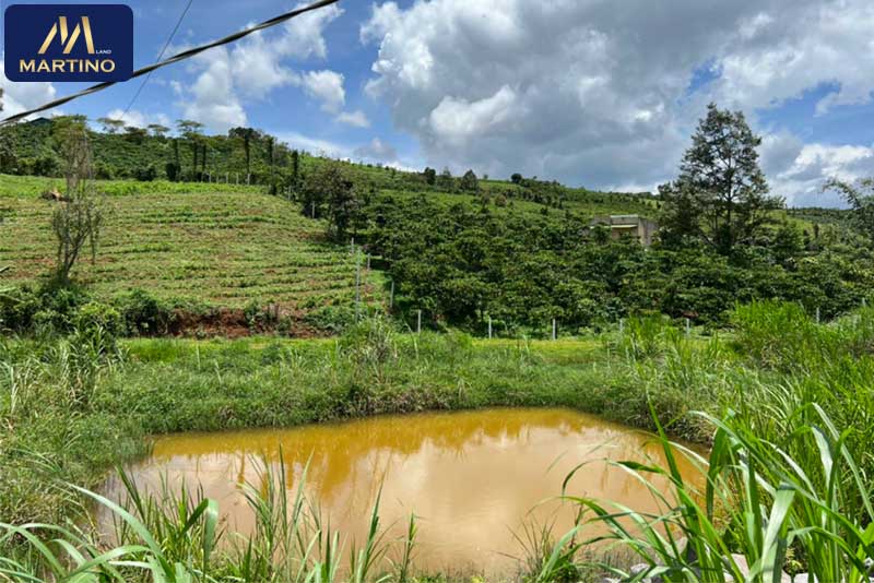 Bán đất Homestay Tôn Thất Thuyết Bảo Lộc Bán đất Homestay Tôn Thất Thuyết Bảo Lộc