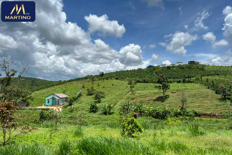 Bán đất Homestay Tôn Thất Thuyết Bảo Lộc Bán đất Homestay Tôn Thất Thuyết Bảo Lộc