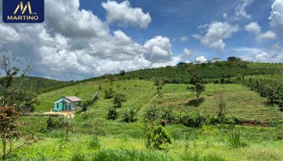 Bán đất 450m2 mặt tiền Tôn Thất Thuyết - Bảo Lộc