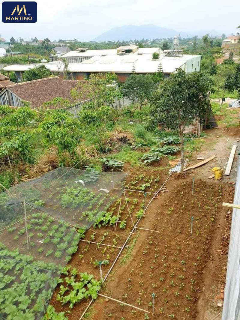 Bán đất nền phường Lộc Tiến Bán đất nền phường Lộc Tiến