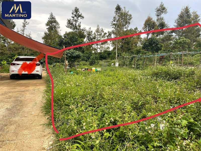 Bán đất nền nông nghiệp phường Lộc Sơn Bán đất nền nông nghiệp phường Lộc Sơn