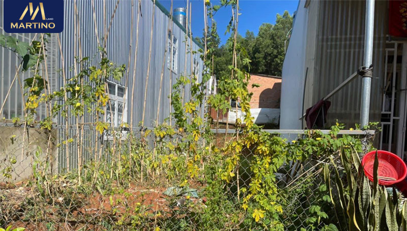 Bán đất nền phường Lộc Sơn Bán đất nền phường Lộc Sơn