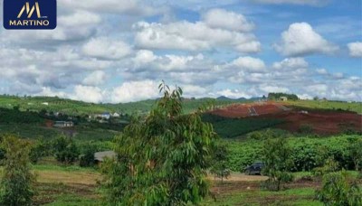 Bán đất hẻm 447 Lý Thường Kiệt phường Lộc Phát - Bảo Lộc