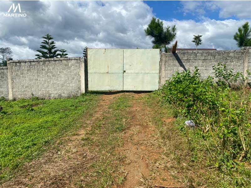 Bán đất 107m2 phường Lộc Tiến Bán đất 107m2 phường Lộc Tiến