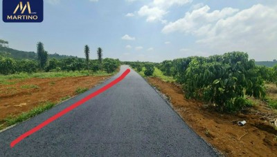 Bán gấp lô đất nền tại phường Lộc Tiên, Bảo Lộc, Lâm Đồng Bán gấp lô đất nền tại phường Lộc Tiên, Bảo Lộc, Lâm Đồng